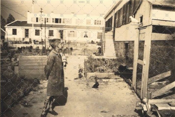 Quartier Chant oiseaux-Lorient-1954