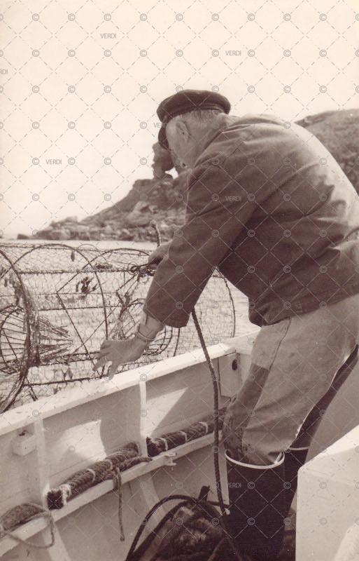 Remontée casiers mer au Logeo Sarzeau