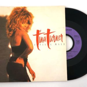 tina-turner-typical-male-45T