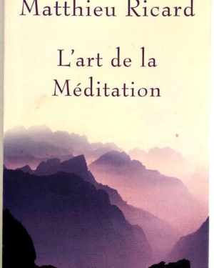 Art-meditation-Ricard