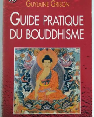 guide-pratique-bouddhisme-Brahmi-Grison