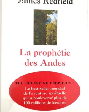 prophetie-andes-Redfield-2