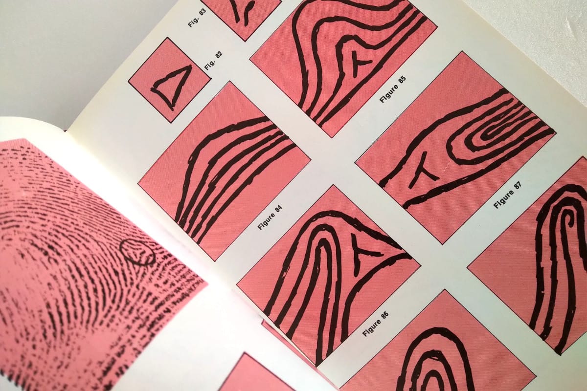 connaitre-avenir-morot-6