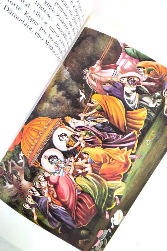 livre-krsna-Prabhupada-2