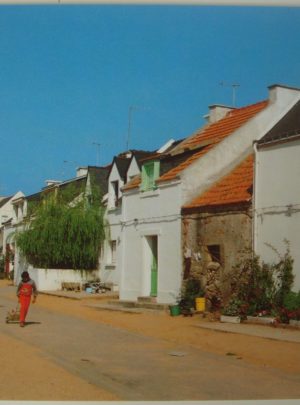 CP Vue d'une rue du Village de Houat