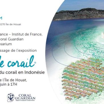 Coeur de Corail Sauvetage corail Indonesie