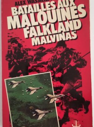 bataille-malouines-falkland-malvinas-wassilieff