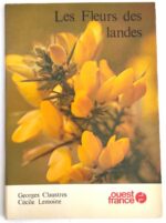 fleurs-landes-claustres-lemoine