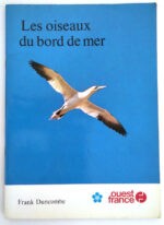 duncombe-oiseaux-bord-mer