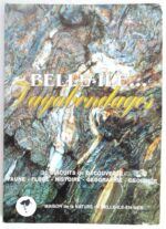 belle-ile-vagabondages-0