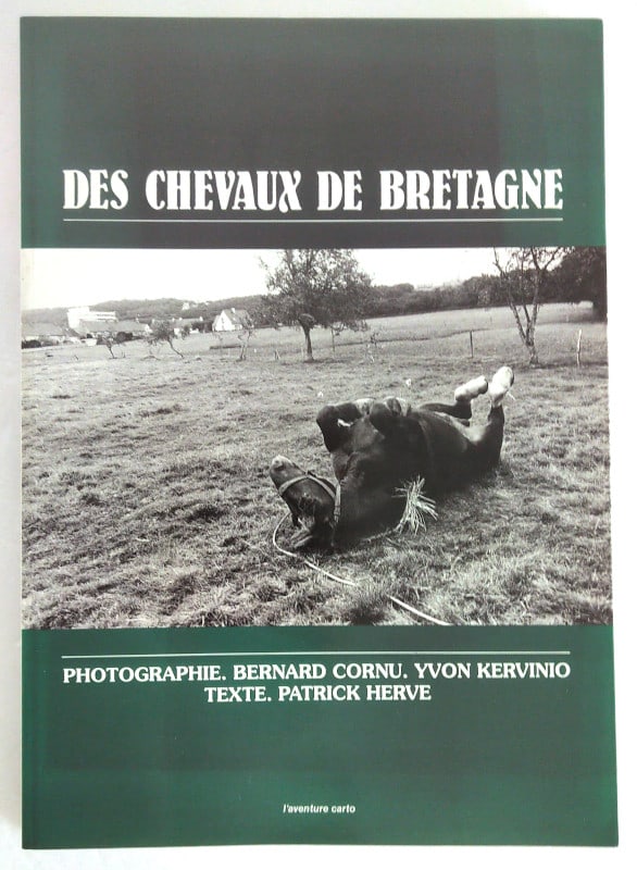 chevaux-bretagne-cornu-kervinio-herve-0