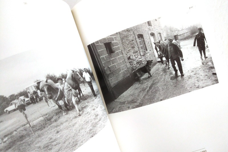 chevaux-bretagne-cornu-kervinio-herve-2