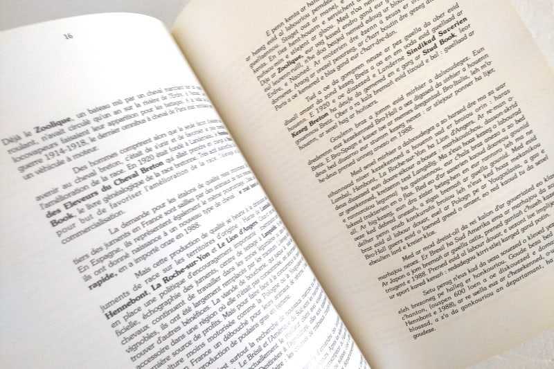 chevaux-bretagne-cornu-kervinio-herve-3