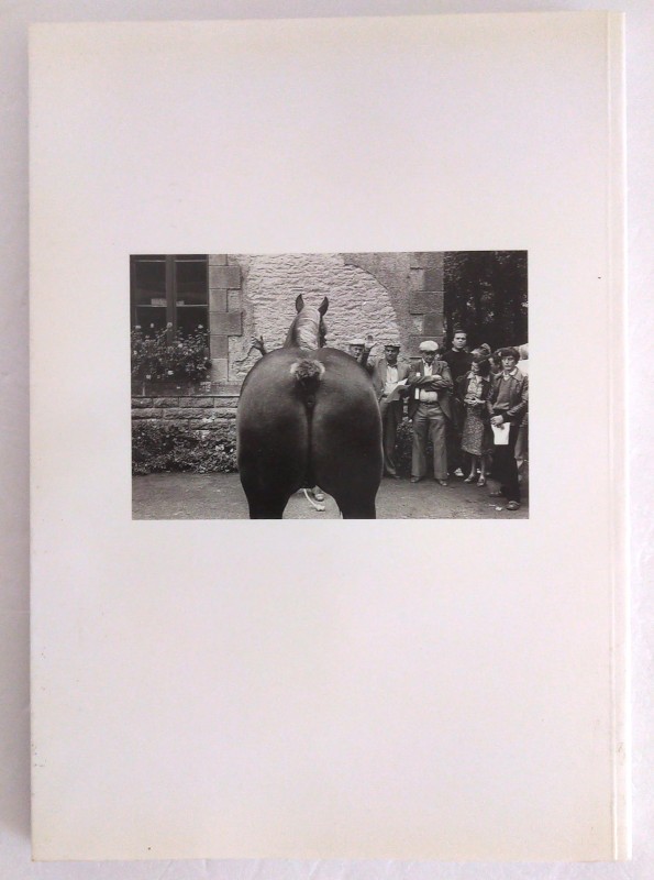 chevaux-bretagne-cornu-kervinio-herve-4