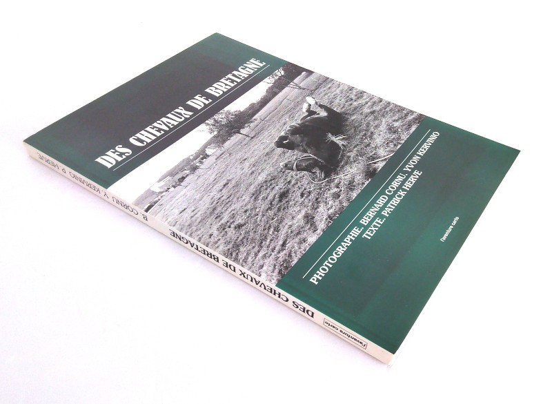 chevaux-bretagne-cornu-kervinio-herve-5